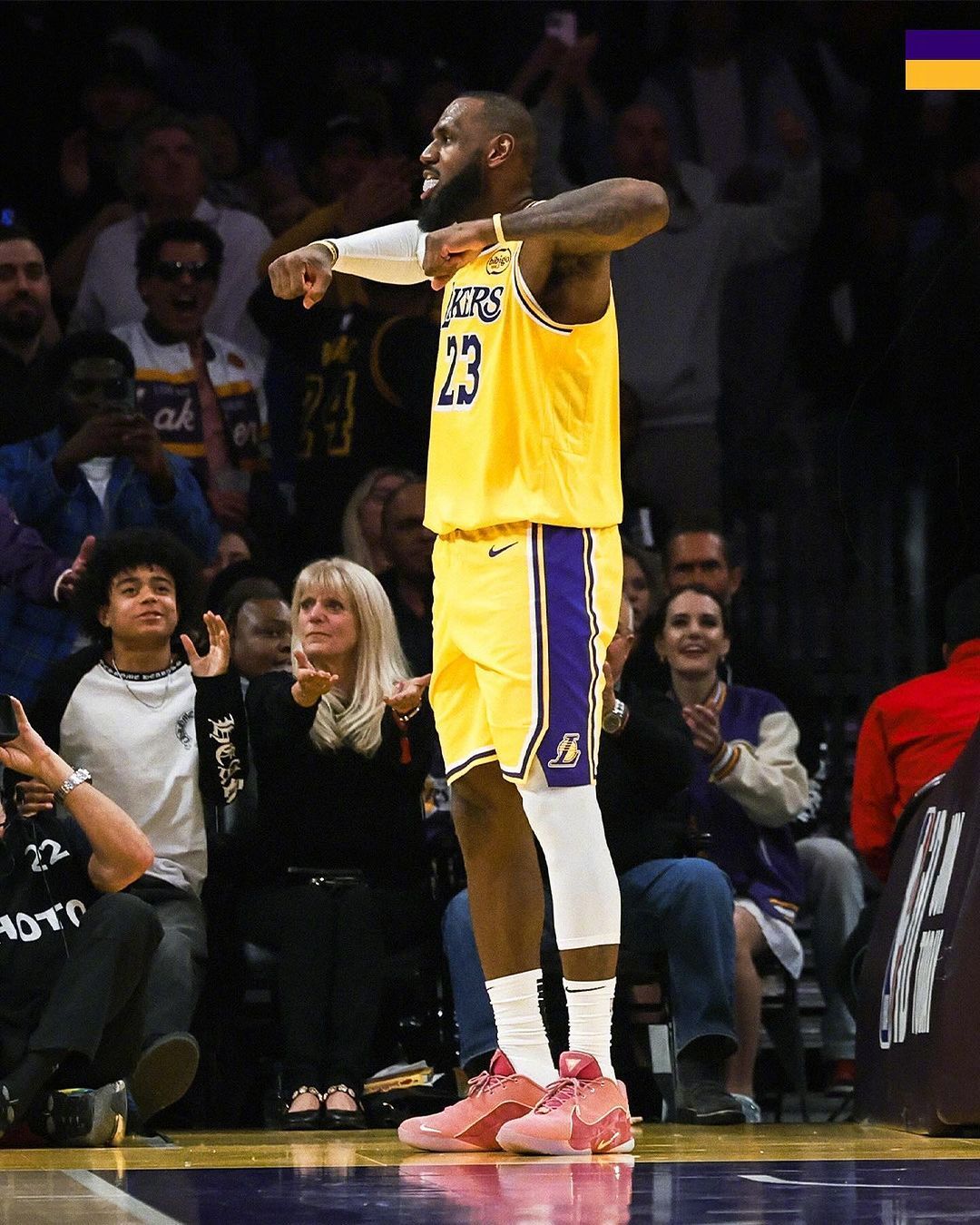 詹姆斯砍下三双 詹姆斯砍下三双